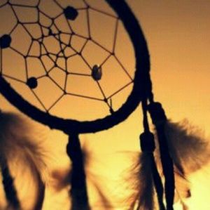 Meet your Posher, Liliana